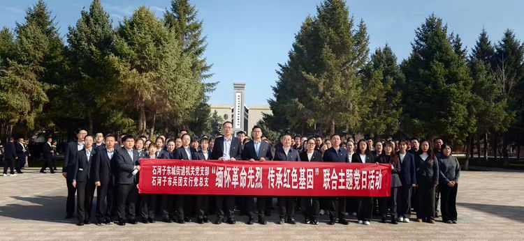 文档图片