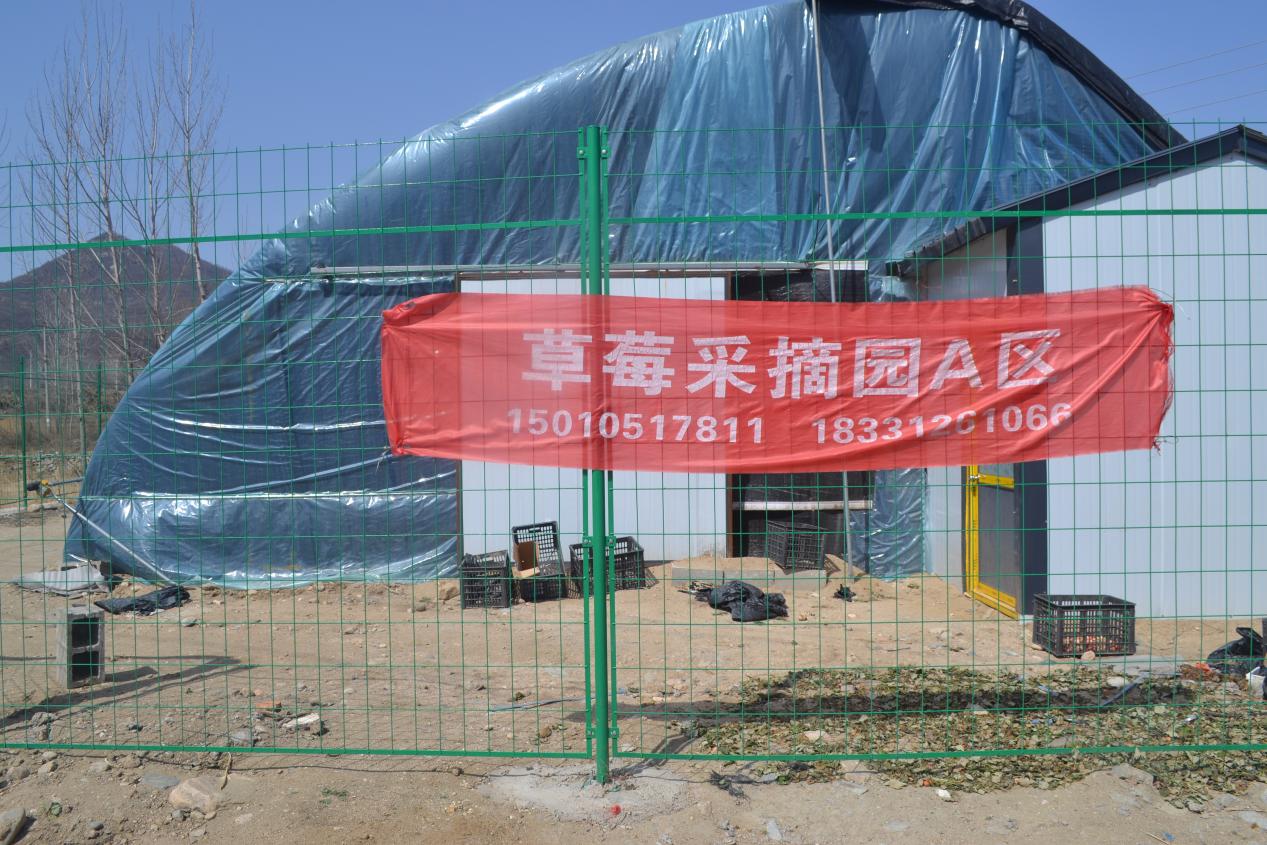 文档图片