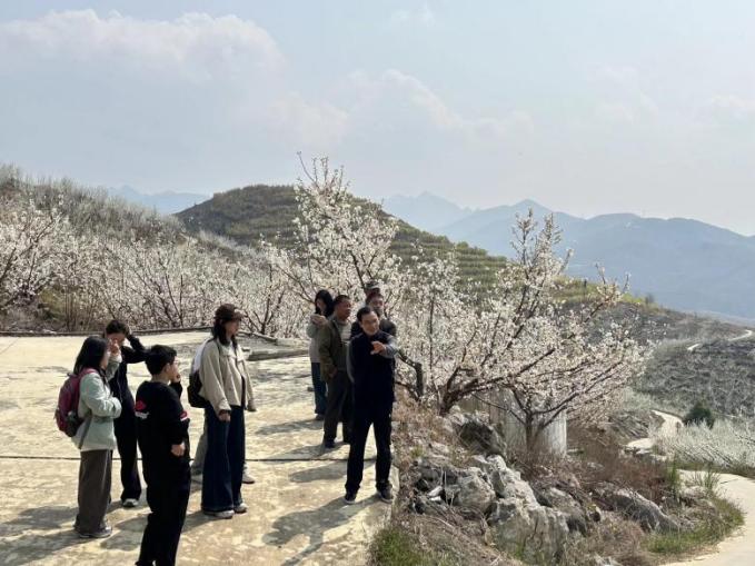 文档图片