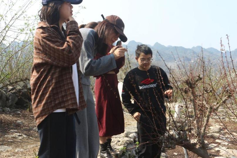 文档图片