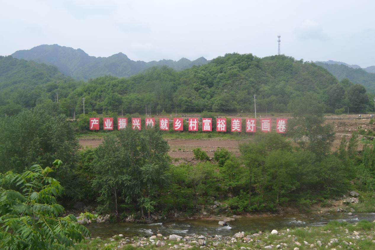 文档图片