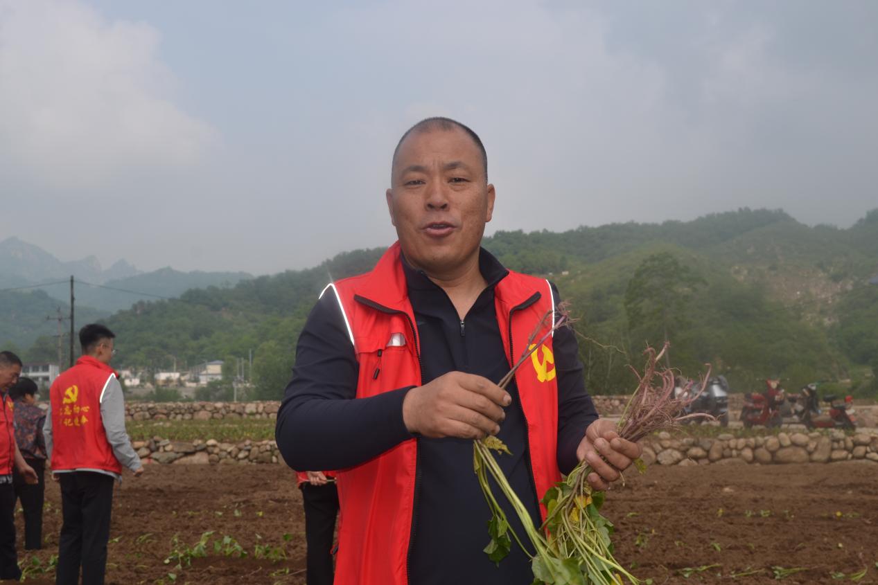 文档图片
