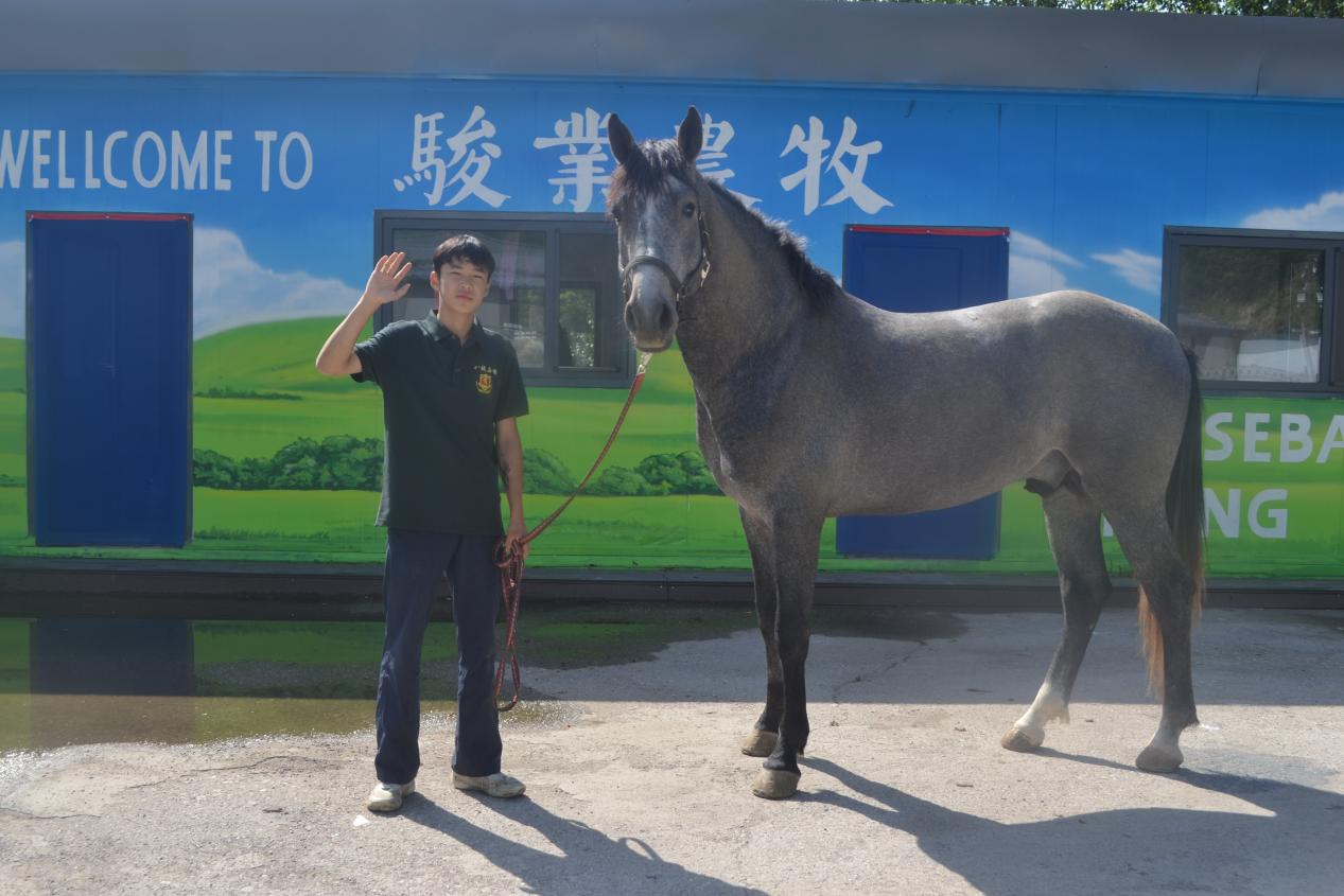 文档图片