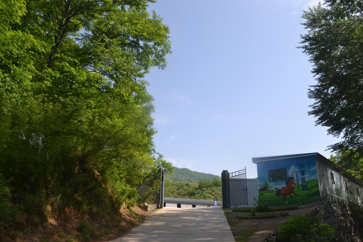 文档图片