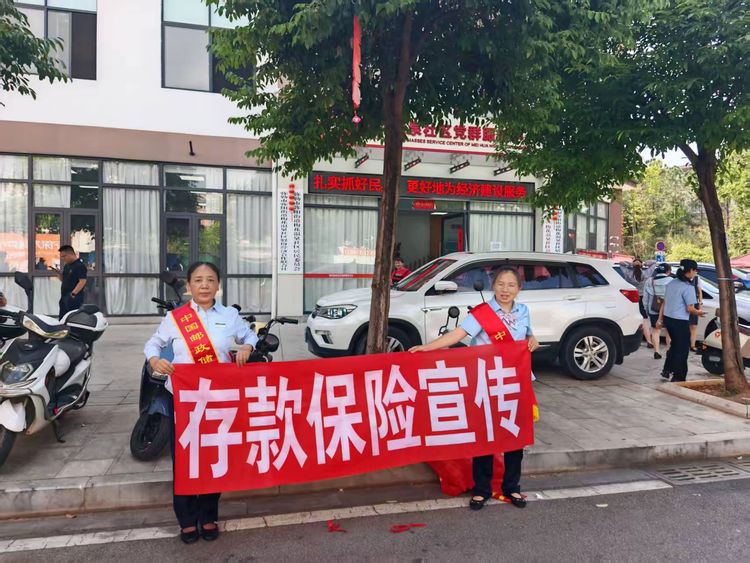 文档图片