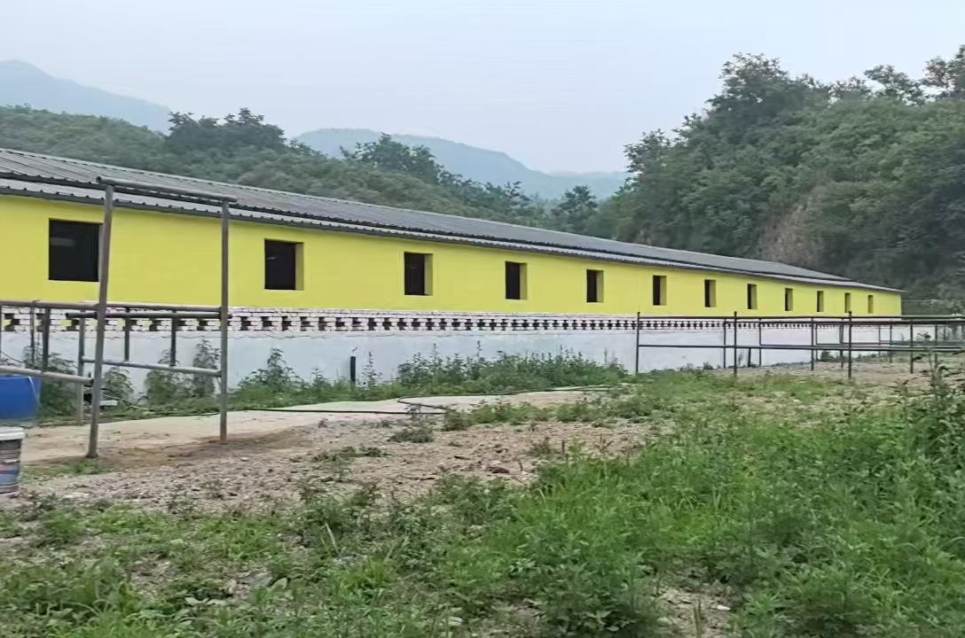 文档图片